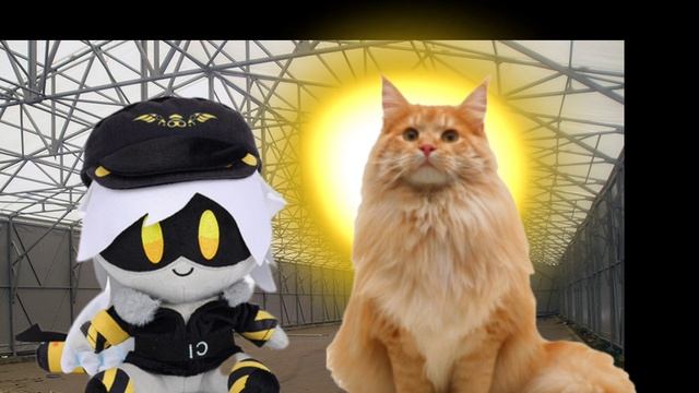 Кибер Ася 5