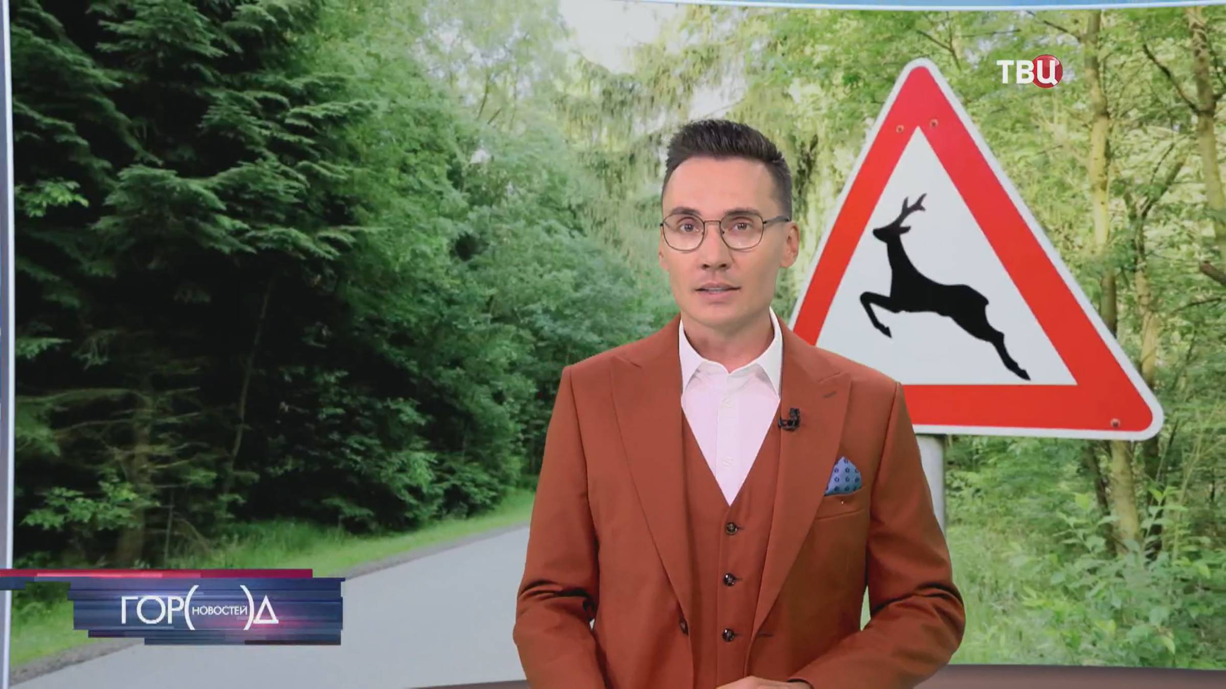 В Подмосковье установят более 100 специальных знаков "Дикие животные" / Город новостей на ТВЦ