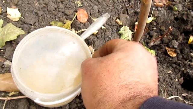 100 % отрава от хруща