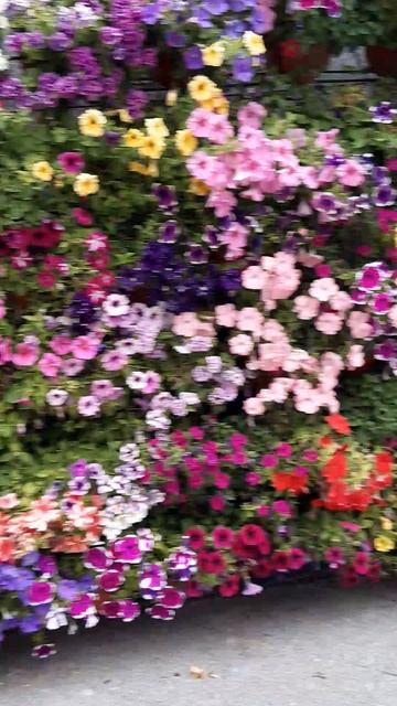 Москва центр 12.06.25