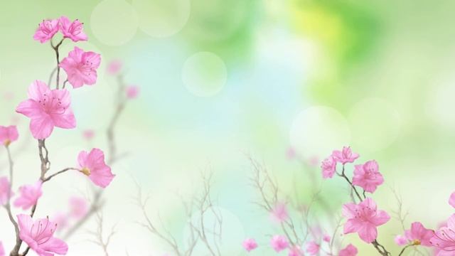 Фон Безмолвное цветение