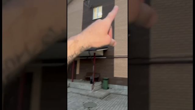 Тигрулики отдыхают на Юлькиной даче 🤭