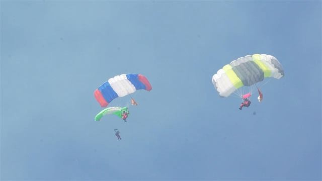 Видеоролик ФБУ Авиалесоохрана_о сбережении лесов России (4)