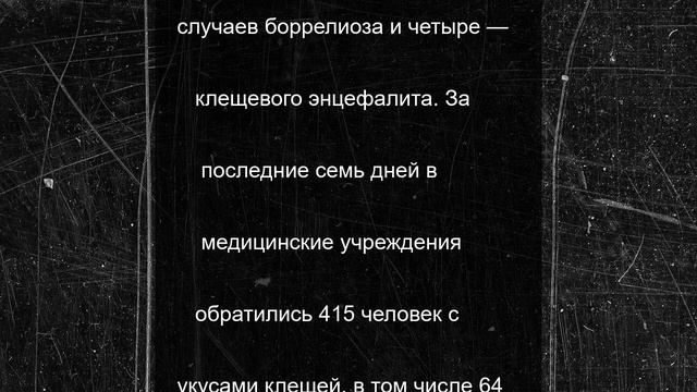 Опасные клещи продолжают кусать жителей Карелии
