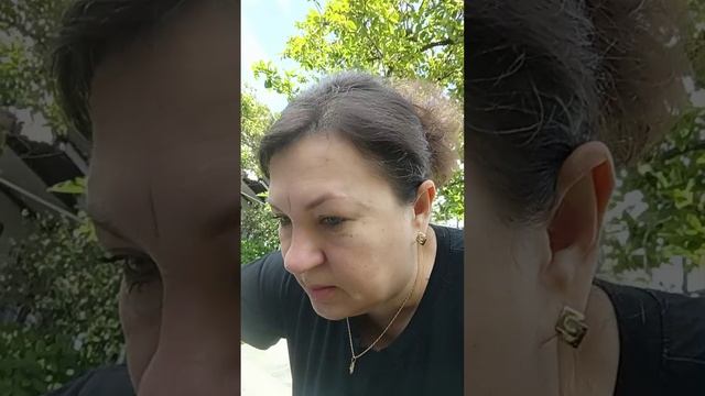 ФЕЯ в цвету 🌺 Обход территории 🍅 Рыжуня сопровождает 😺