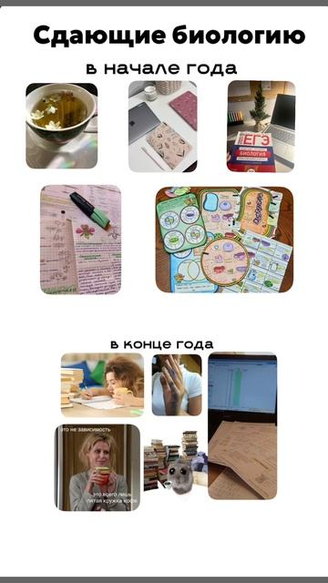 Сначала конспекты, потом — пока, нервные клетки. Подготовка к ЕГЭ по биологии