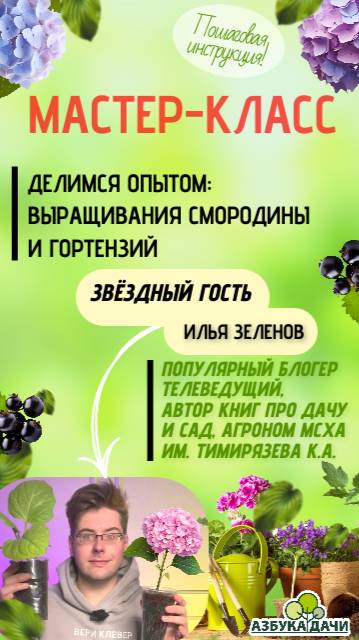 🌱 Богатый урожай смородины – это просто! 😉 Узнайте, как правильно размножать и ухаживать. 🌿!