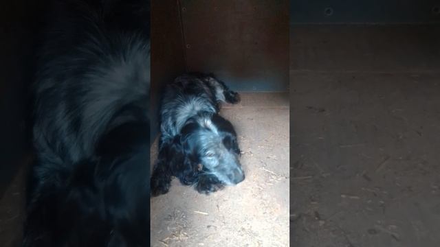 НАИГРАЛИСЬ И РЕШИЛА ОТДОХНУТЬ