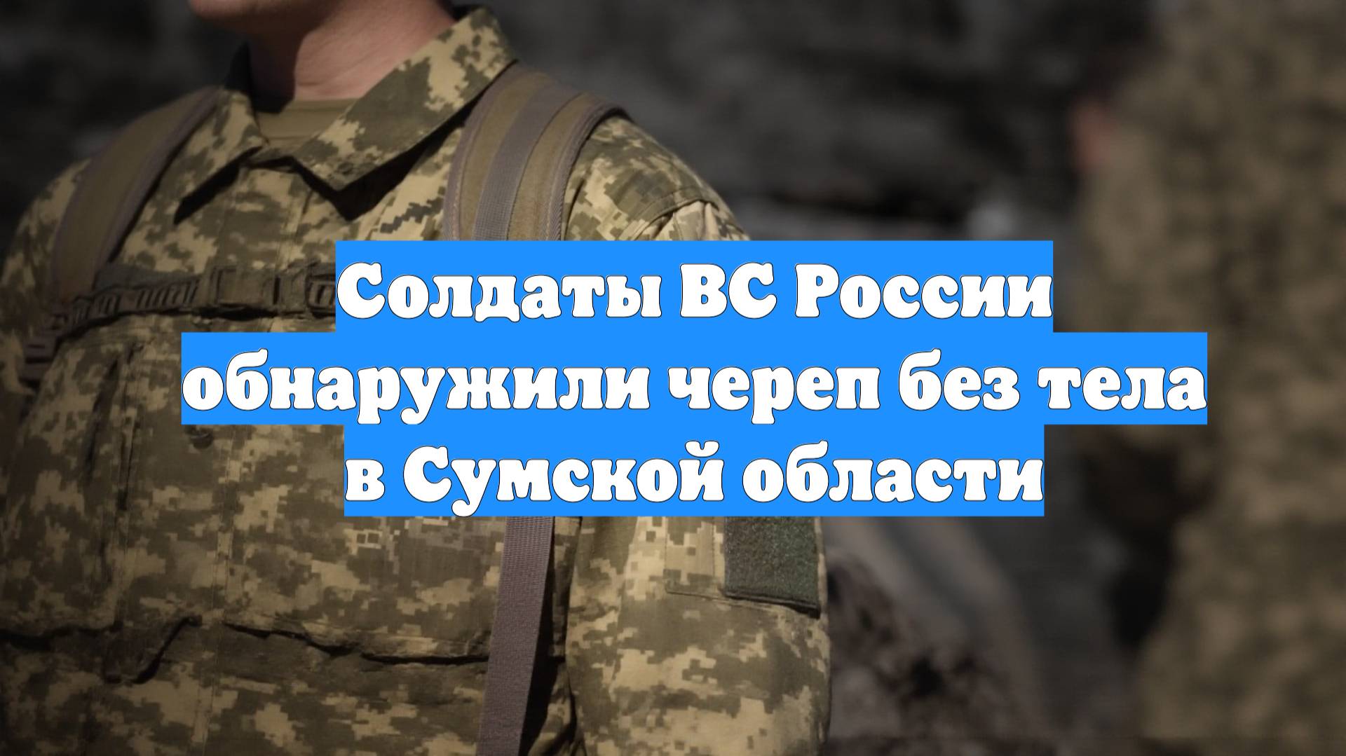 Солдаты ВС России обнаружили череп без тела в Сумской области