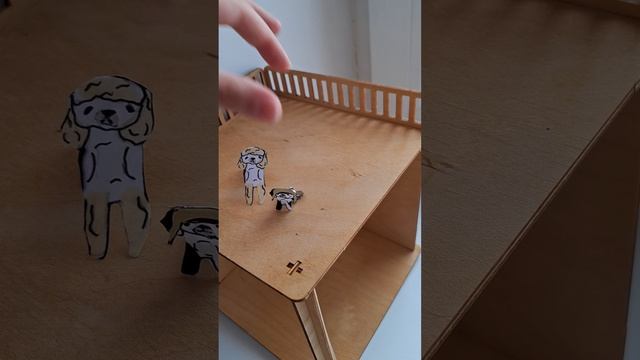 у нас появилась беседка у бумажных собак! нашли живого паука🤣 никто из паучков не пострадал