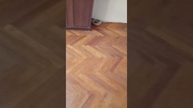 1000026525.mp4