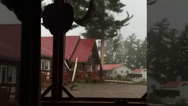 Молния ударила в дерево. Щепки, щепки, щепки..