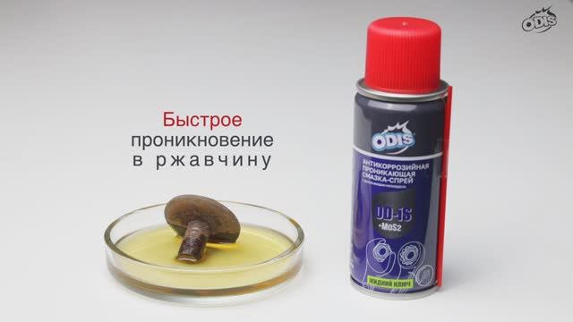 Как работает ODIS Универсальная проникающая антикоррозийная смазка-спрей с +MoS2