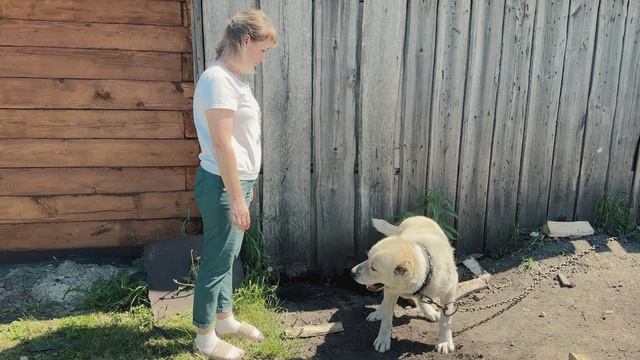 "Друг отца": "Дядя Вова"