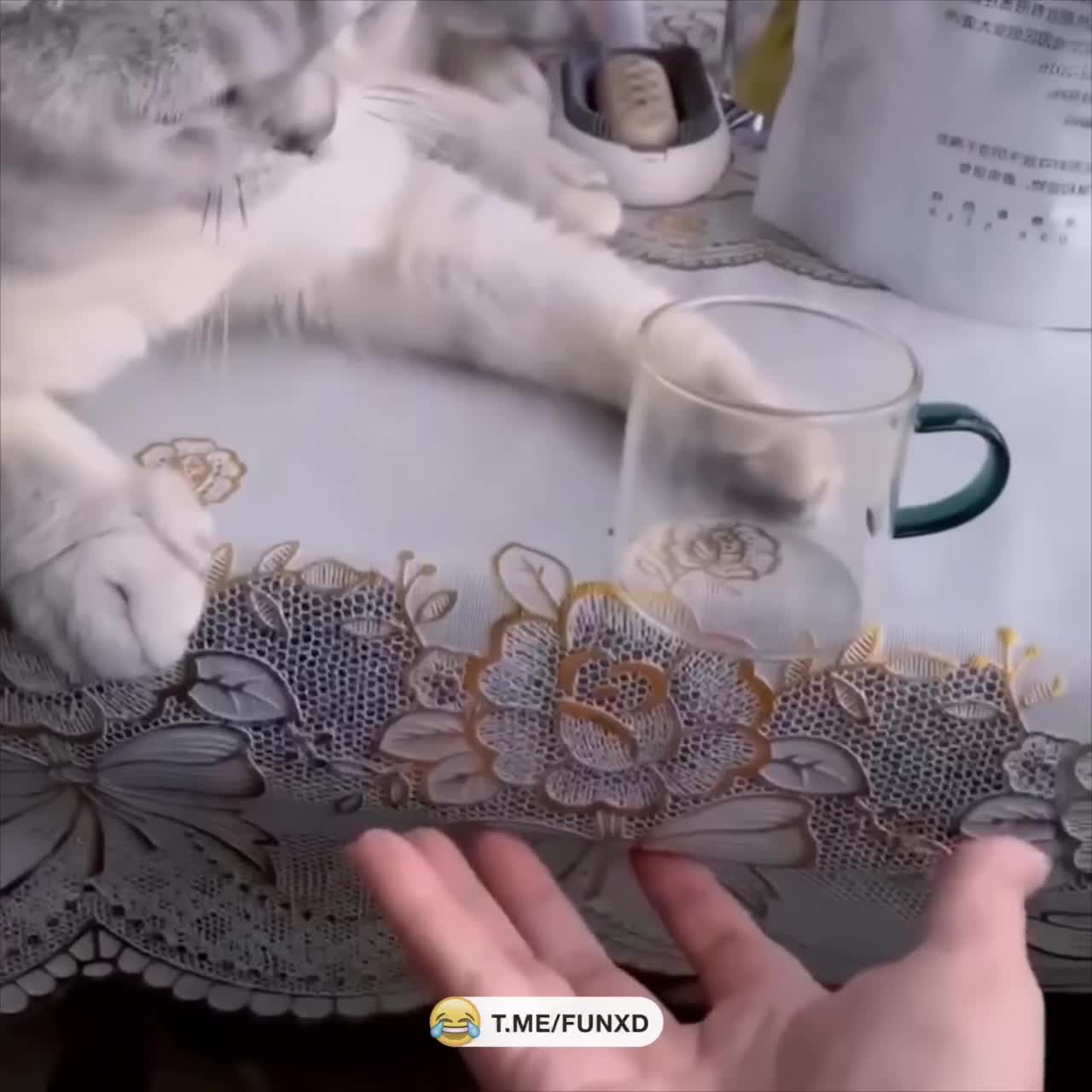 Переиграл кожаного😁