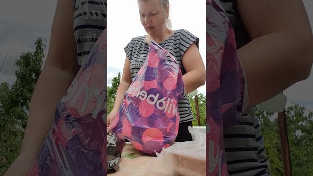 Приехали на дачу пожарить шашлык