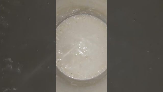 булочки