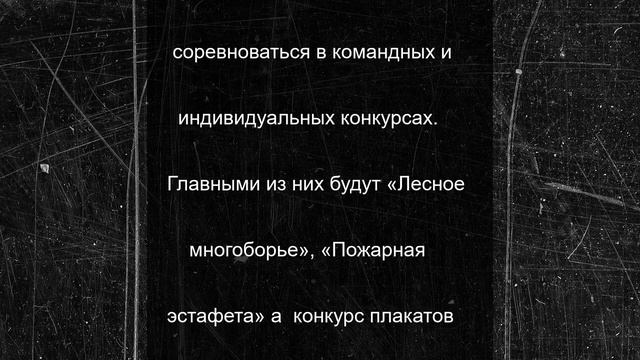 Слет костромских школьных лесничеств открылся в центре «Следово»