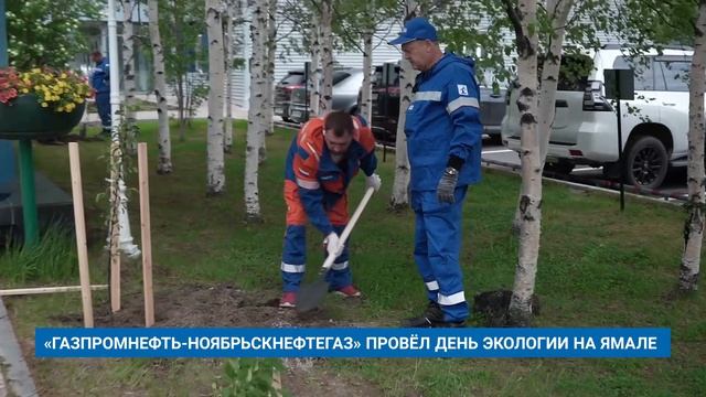 «ГАЗПРОМНЕФТЬ-НОЯБРЬСКНЕФТЕГАЗ» ПРОВЁЛ ДЕНЬ ЭКОЛОГИИ НА ЯМАЛ