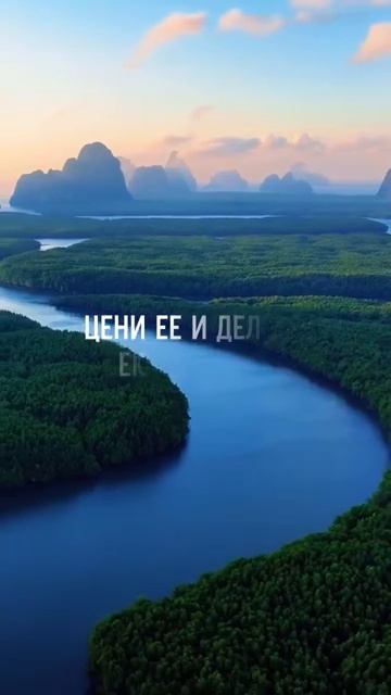 Подпишись, на канале много интересного #мотивацияивдохновение #позитивноемышление #силасознания