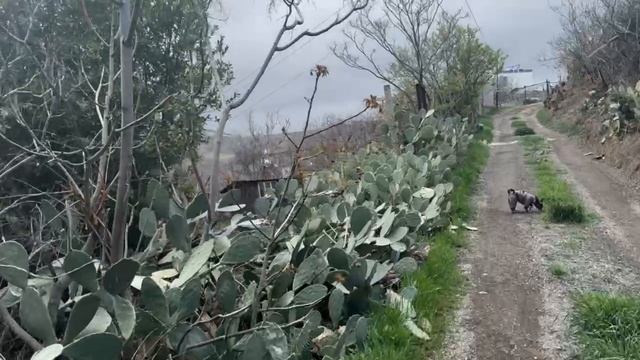 VID_20250624_231110_616.mp4