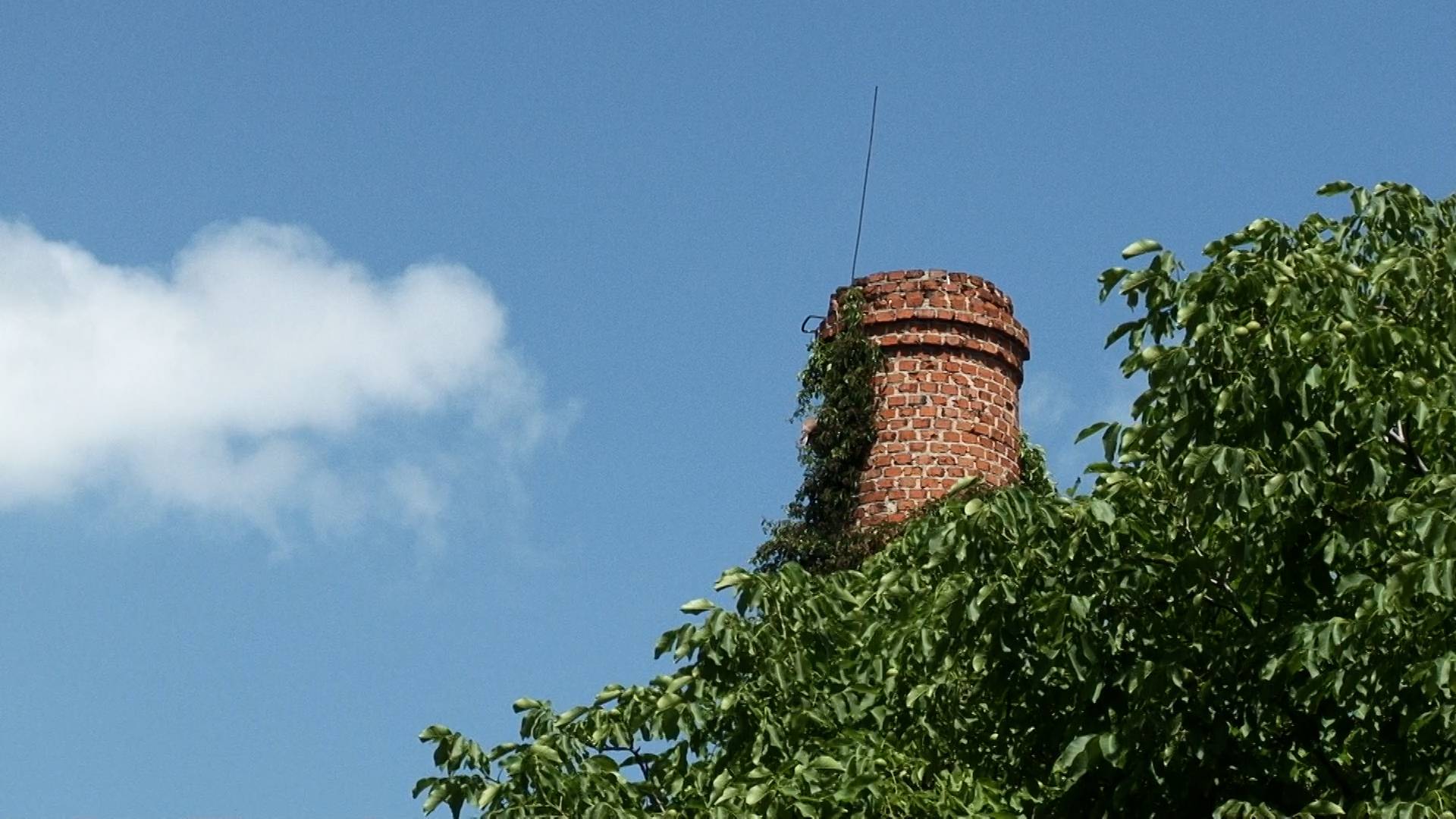 ТЕПЛА ЖДАТЬ НЕ СТОИТ