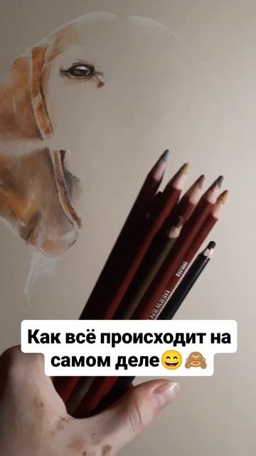 Вся правда 😄🙈