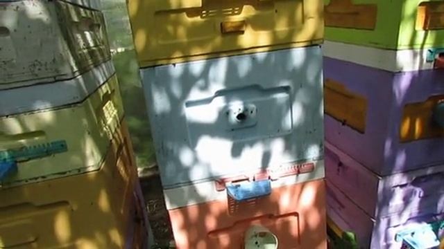 подстраховочный отводок для облета матки на случай потери матки при облете , 24.06.2025
