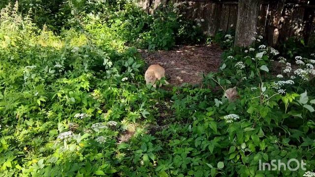 Не дерись на дуэли, если жизнь дорога!