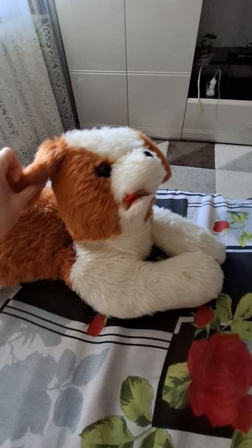 40 лет Собаке..  СОВСЕМ СТАРУШКА🥰❤️🔥