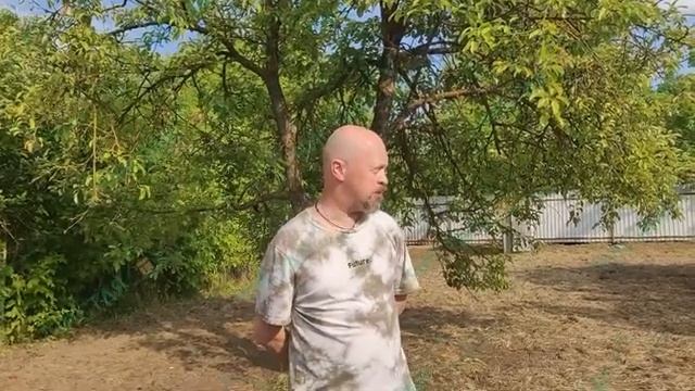 Комплекс работ по благоустройству территории в Воскресенском районе