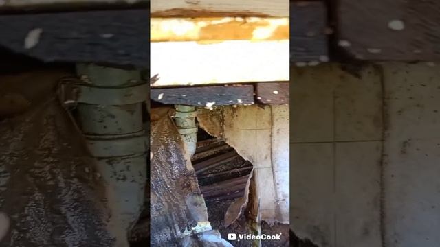 канализация