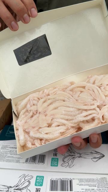Щупальца кальмара