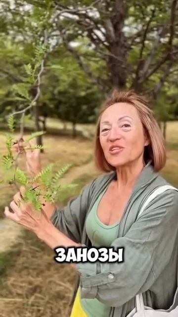 Что из тебя торчит?