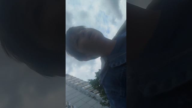 ходил в магазин блин