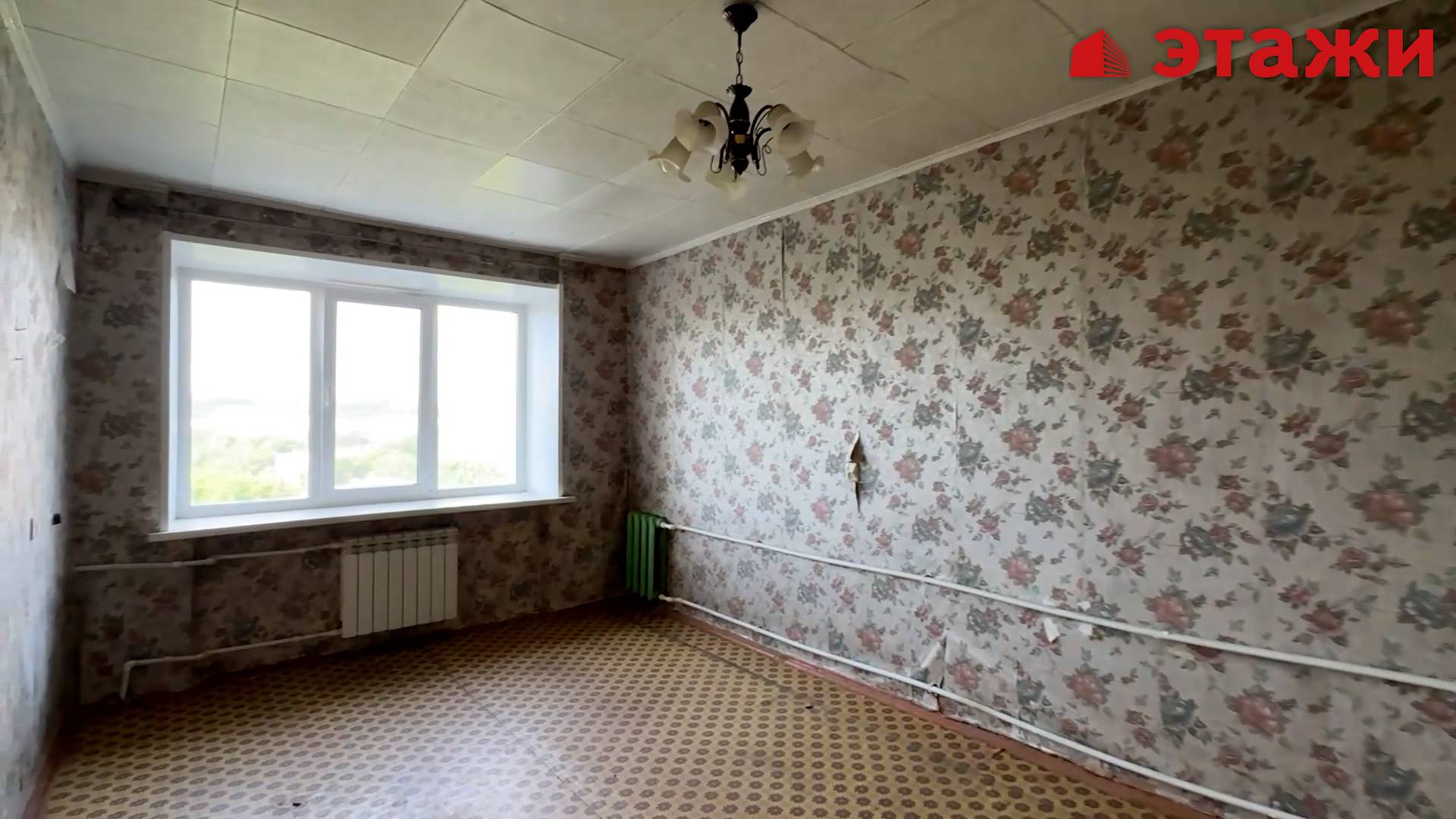 Пушкарева, 52