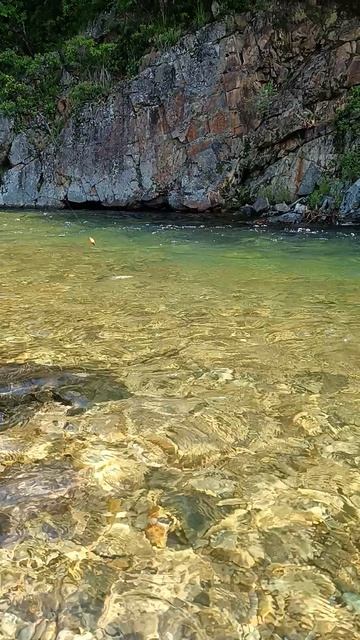 рыба Ленок ,красота