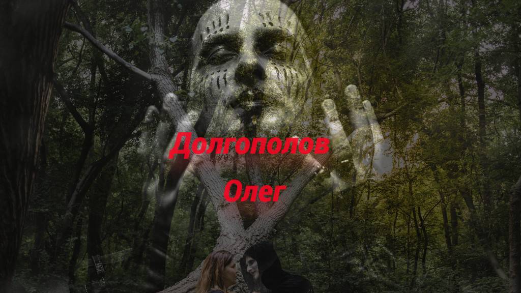 Жизнь-Бой(Долгополов О. и Булаев А.)