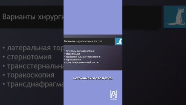Варианты доступа в торакальной ветеринарной хирургии