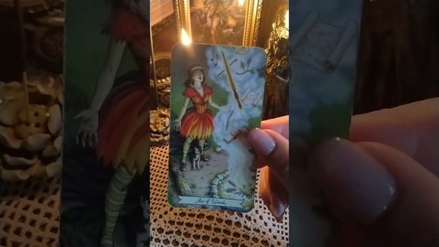 🍀ЖИЗНЕУТВЕРЖДАЮЩЕЕ ПОСЛАНИЕ ТАРО 🍀