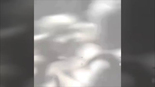 Phonk