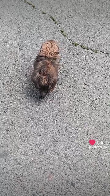 1000011929.mp4