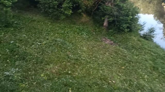 1000026667.mp4