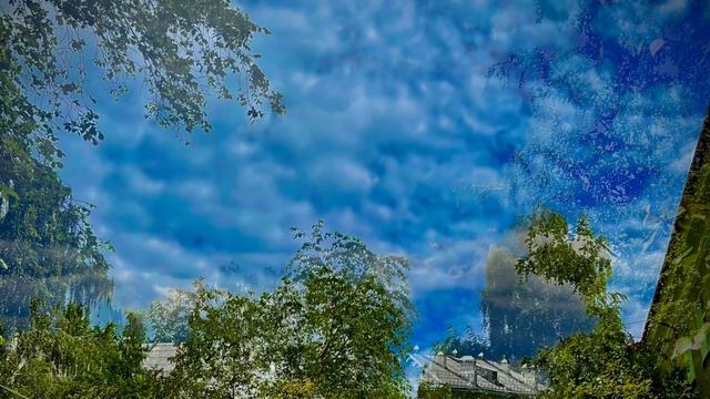 24-06-2025 Пасмурное небо и голубь грязнуля ☁️🕊️ Асбест, Средний Урал