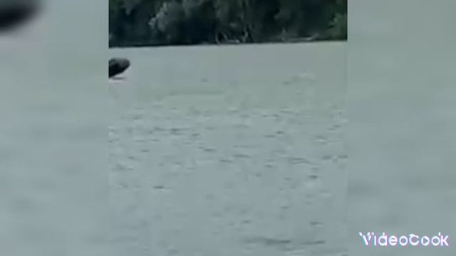 1000006110.mp4