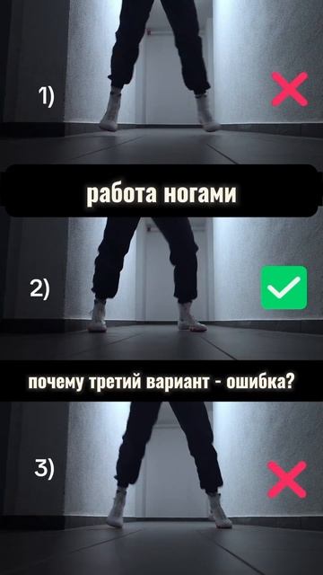 5.mp4