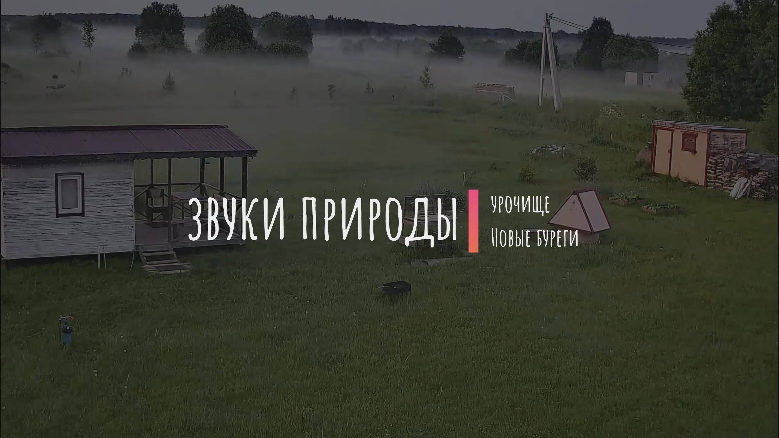 24.05.2025 звуки природы