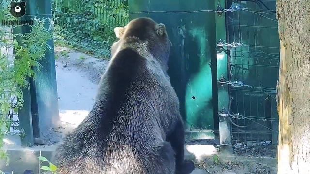 Да я всё умею! И открыть и закрыть и даже починить, если надо