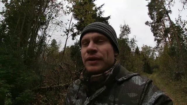 Охота на медведя! провальный сезон...