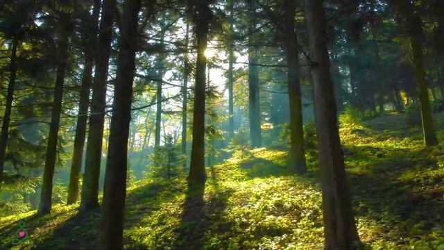 Расслабляющая музыка для снятия стресса, красивая природа🍀Музыка лечит сердце и кровеносные сосуды